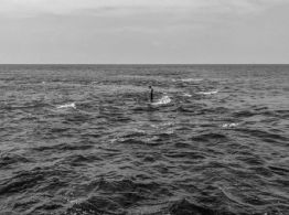 Que premio World Press Photo sirva para atender afectaciones por cambio climático: César Rodríguez