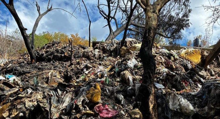 Evocan memoria de Francisco Toledo tras incendio en basurero clandestino en San Agustín Etla, Oaxaca
