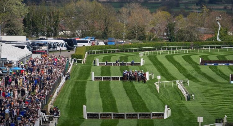Caballo se fractura la espalda y es sacrificado tras ganar una carrera de obstáculos en Inglaterra