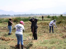 Localizan 317 restos óseos en límites de Tláhuac y Chalco