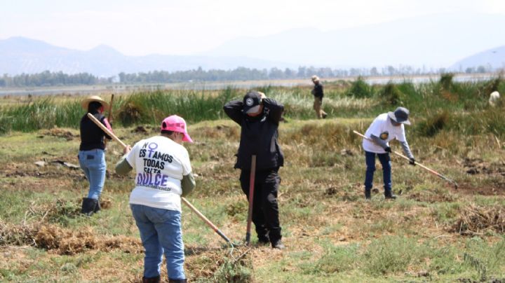 Localizan 317 restos óseos en límites de Tláhuac y Chalco