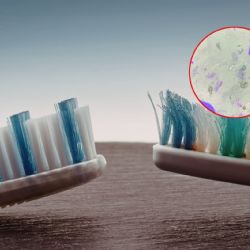 ¿Guardas mal tu cepillo? La UNAM explica cómo limpiarlo y cuándo cambiarlo