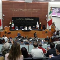 Queda consumado el Plan “B”: el Senado declara su validez