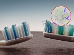 ¿Guardas mal tu cepillo? La UNAM explica cómo limpiarlo y cuándo cambiarlo