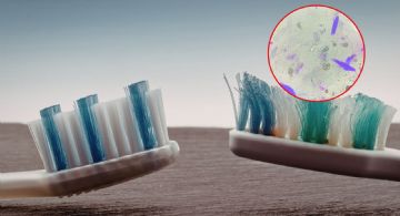 ¿Guardas mal tu cepillo? La UNAM explica cómo limpiarlo y cuándo cambiarlo