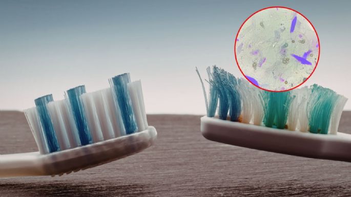 ¿Guardas mal tu cepillo? La UNAM explica cómo limpiarlo y cuándo cambiarlo