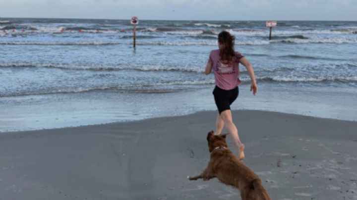 Astronauta de Artemis II se reencuentra con su perrita tras volver a la Tierra (Video)