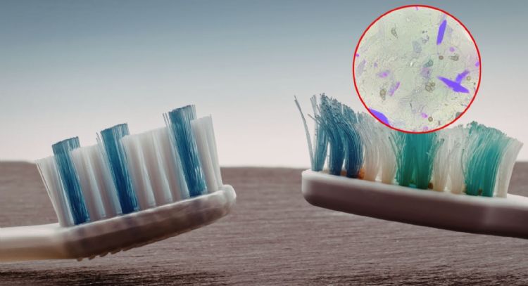 ¿Guardas mal tu cepillo? La UNAM explica cómo limpiarlo y cuándo cambiarlo