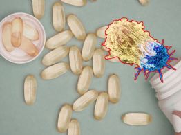 Científicos identifican cómo un suplemento de longevidad puede favorecer células cancerígenas