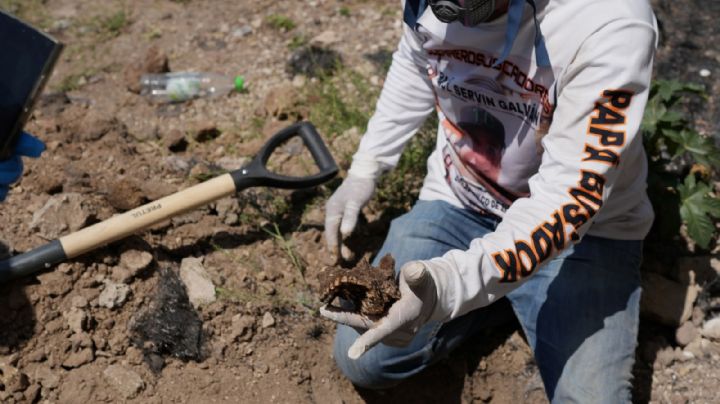 La rutina de buscar desaparecidos en México: familiares con picos, palas y un botón de pánico