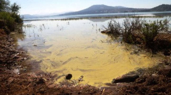 Comuneros exigen diálogo con el gobierno para atender crisis ambiental en el lago de Zirahuén