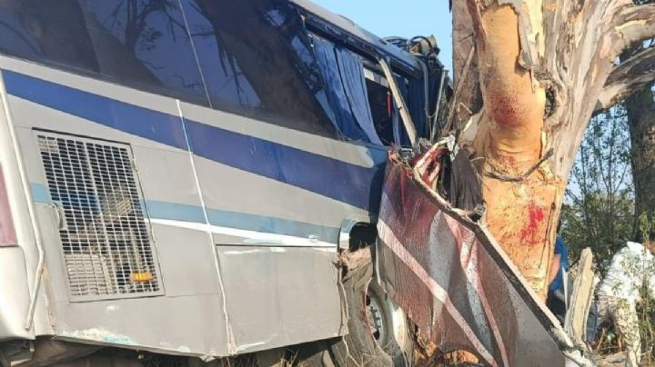 Tragedia en Querétaro: Mueren nueve personas por choque de autobús contra un árbol