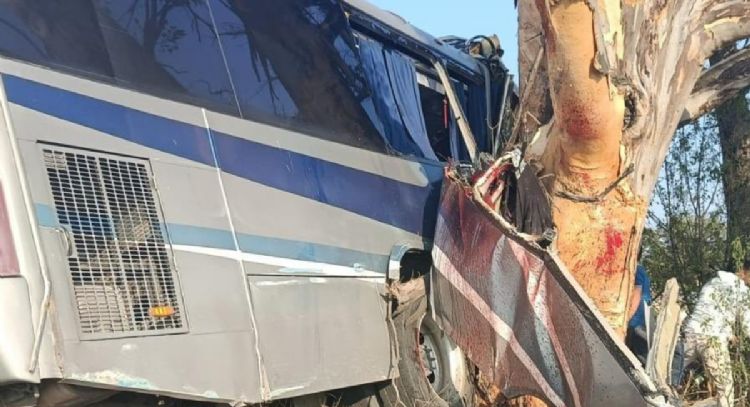 Tragedia en Querétaro: Mueren nueve personas por choque de autobús contra un árbol