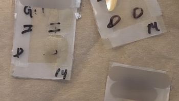 Alertan en Jalisco por fraude mediante clonación de huellas dactilares