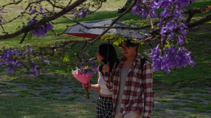 Lluvias y chubascos en la mitad del país de viernes a lunes; se extiende la onda de calor