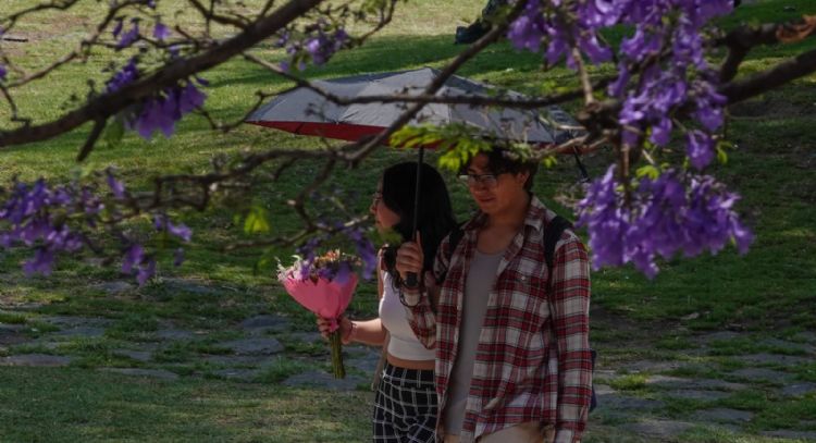 Lluvias y chubascos en la mitad del país de viernes a lunes; se extiende la onda de calor