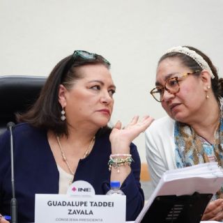 Taddei aprovecha llegada de nuevos consejeros al INE para oficializar nombramientos de sus cercanos