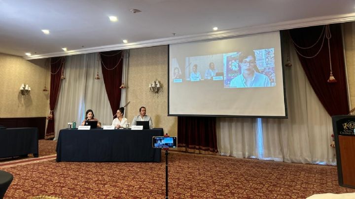 El consumo no regulado de infancias en la red: de la publicidad a inseguridades y violencia