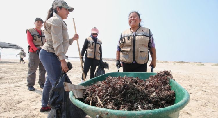 Suma Tamaulipas esfuerzos con la Federación para conservar playas y costas