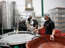 La economía cae 0.8% en el primer trimestre: retroceso en todos los sectores