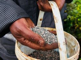 Guerra en Medio Oriente provoca escasez mundial de fertilizantes y amenaza precios de alimentos