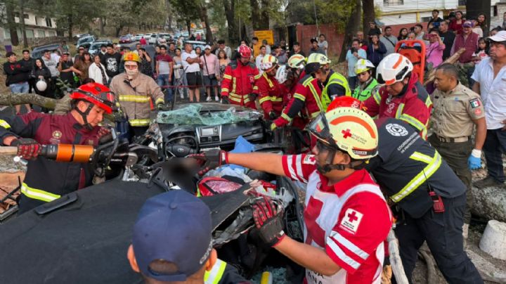 Mueren tres personas al caer árbol sobre autos en la México-Cuernavaca al término de Semana Santa