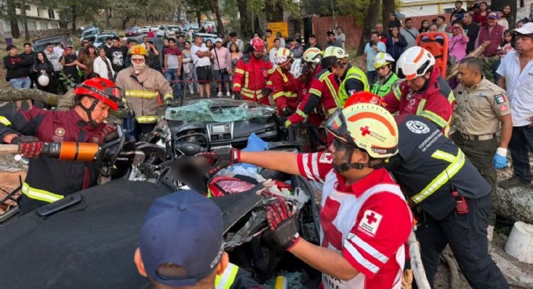 Mueren tres personas al caer árbol sobre autos en la México-Cuernavaca al término de Semana Santa