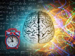Cómo cambia el cerebro humano desde la infancia hasta la vejez, según la UNAM
