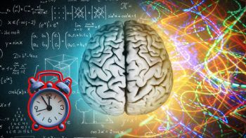 Cómo cambia el cerebro humano desde la infancia hasta la vejez, según la UNAM