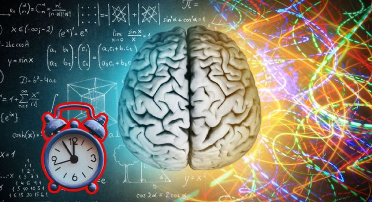 Cómo cambia el cerebro humano desde la infancia hasta la vejez, según la UNAM