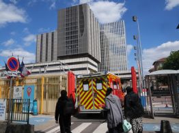 Paciente francesa con hantavirus está en estado crítico; el total de casos aumenta a 11