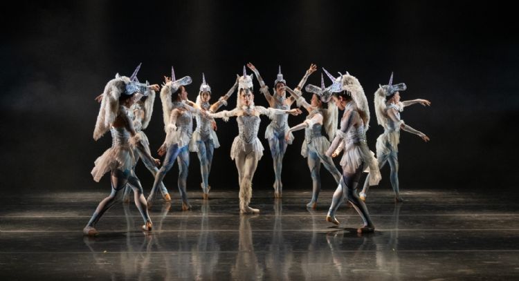 Las olas del rey, ofrece función de danza para comunidad neurodivergente