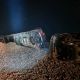 Dos locomotoras de Ferrosur se descarrilaron en Cumbres de Acultzingo, Veracruz