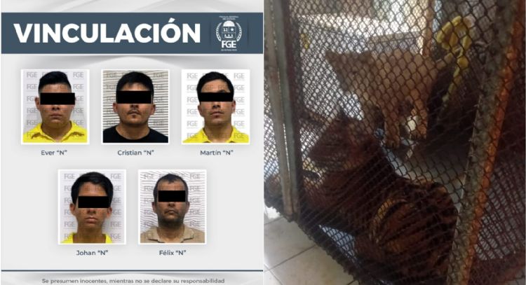 Por explotación animal, vinculan a cinco a proceso; entre ellos un exregidor suplente de Morena