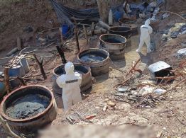 Desmantelan cinco narcolaboratorios en Jalisco, Nayarit y Sinaloa