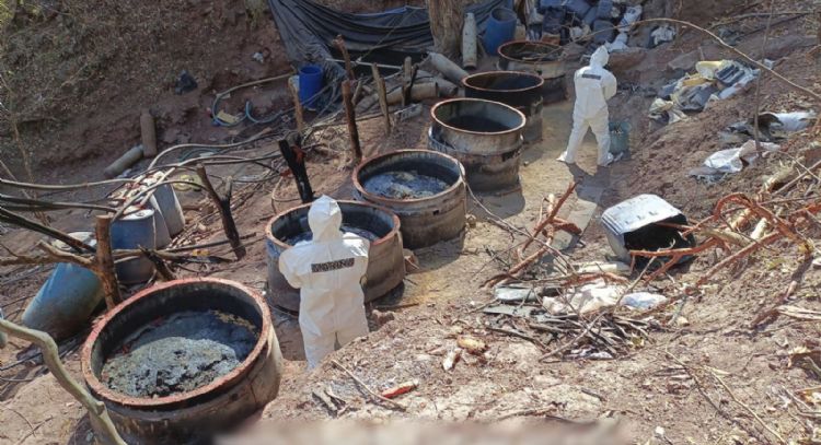 Desmantelan cinco narcolaboratorios en Jalisco, Nayarit y Sinaloa