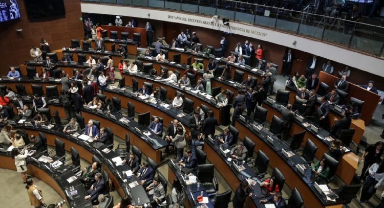 El sinaloense en el Senado. Esto apenas empieza