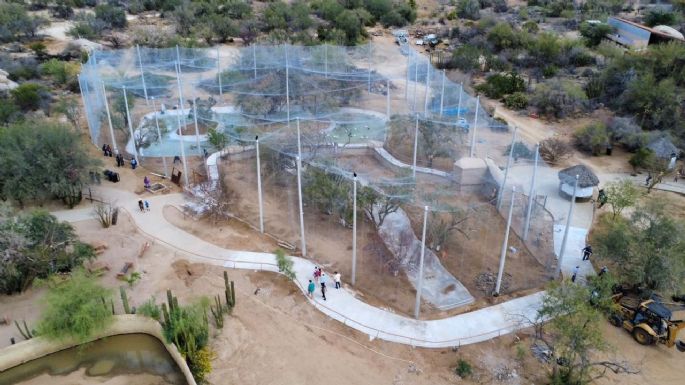Gobernador Durazo impulsa obras clave de infraestructura y medio ambiente; avanza Parque Ostimuri