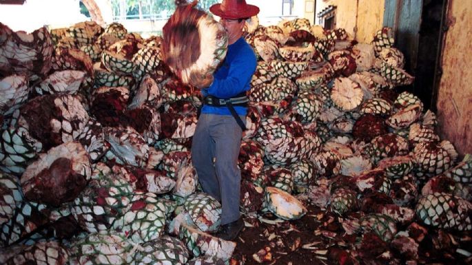 Acuerdo con la UE prioriza inversión extranjera, pero descuida a empresas mexicanas, alerta experto