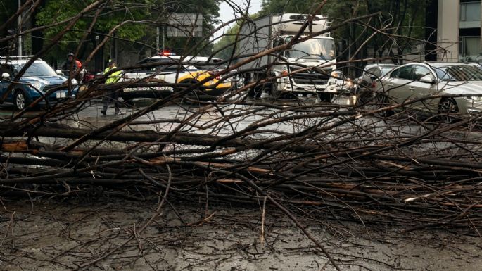 Obras para enfrentar lluvias no estarán listas antes del Mundial: Brugada