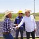 Gobernador Durazo pone en marcha registro de Techos Solares; reducirá costos del recibo de luz