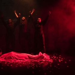 “Rosa Roja”, Rosa Luxemburgo la comunista