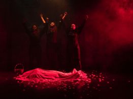 “Rosa Roja”, Rosa Luxemburgo la comunista