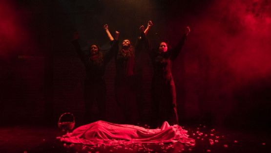 “Rosa Roja”, Rosa Luxemburgo la comunista
