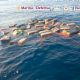 La Marina asegura más de dos toneladas de cocaína en el Golfo de Tehuantepec