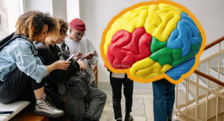 La adolescencia cerebral se extiende hasta los 32 años, según estudio de Cambridge