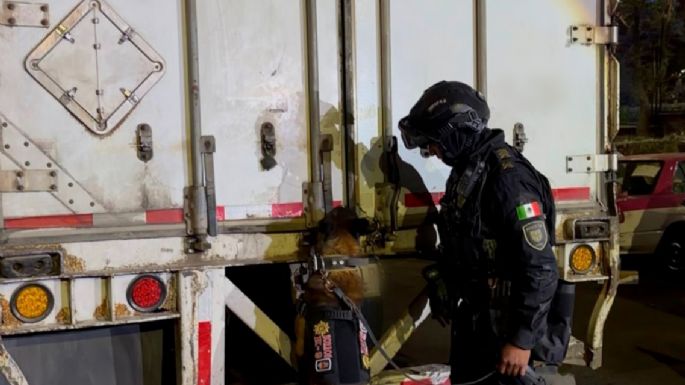 Mariguana valuada en 15 millones de pesos fue detectada en un tractocamión que circulaba en la CDMX