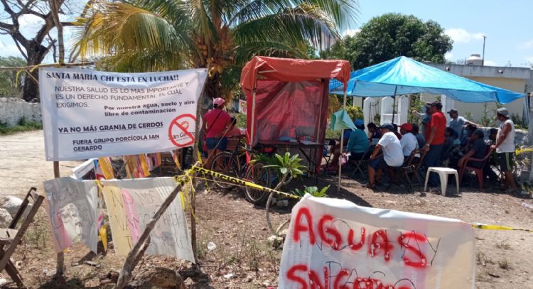 Tras cierre de megagranja porcícola, comunidad enfrenta el reto de sanear Santa María Chi