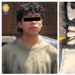 Lo detienen con 47 kilos de mariguana cuando pretendía viajar a Veracruz desde la TAPO