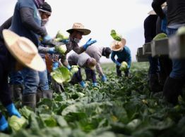 México ante los convenios globales